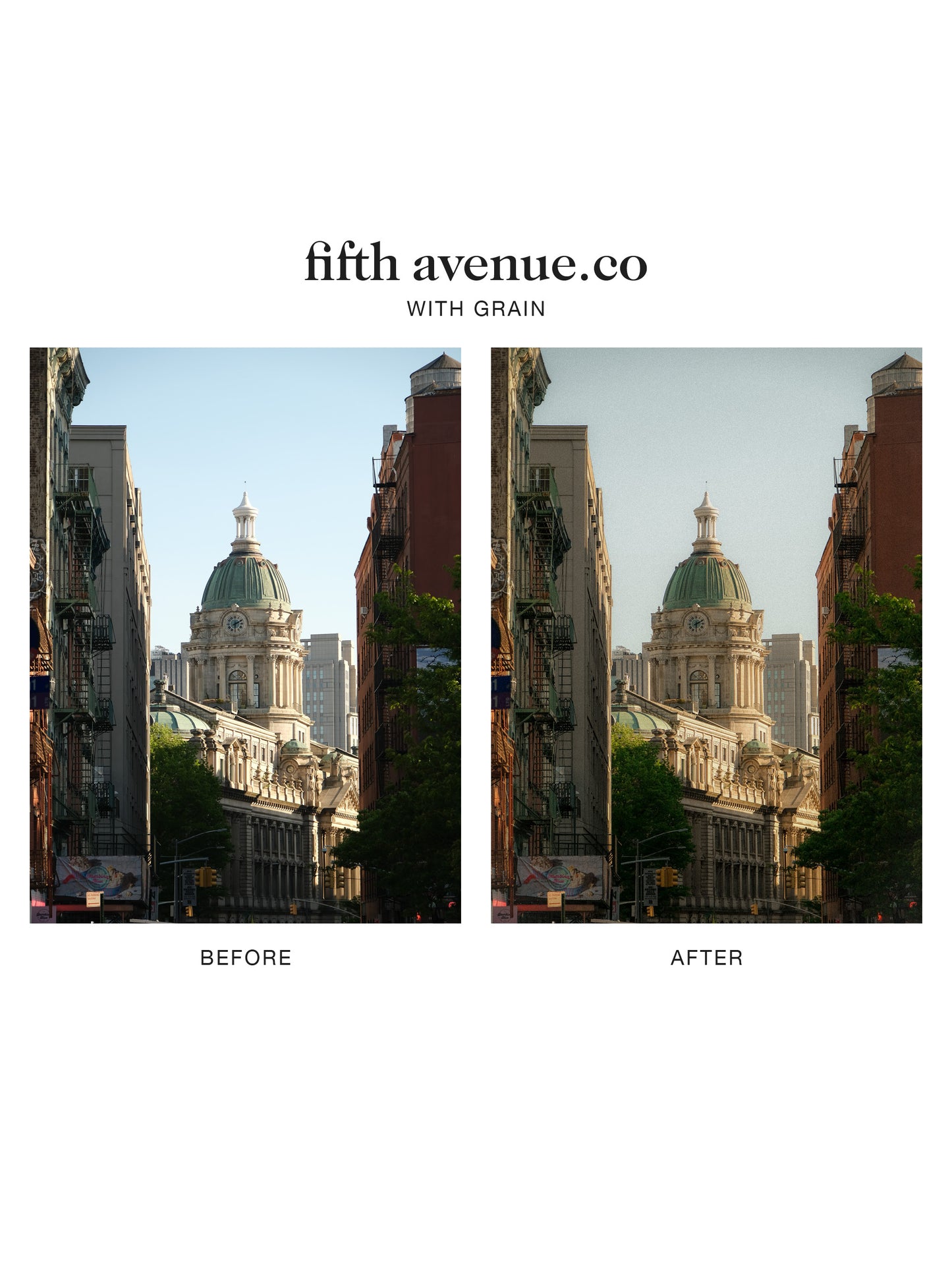 "fifth avenue.co" Lightroom Preset