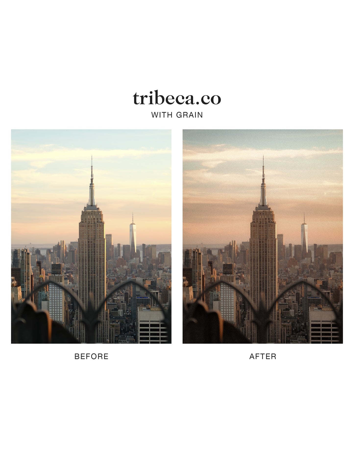 "tribeca.co" Lightroom Preset
