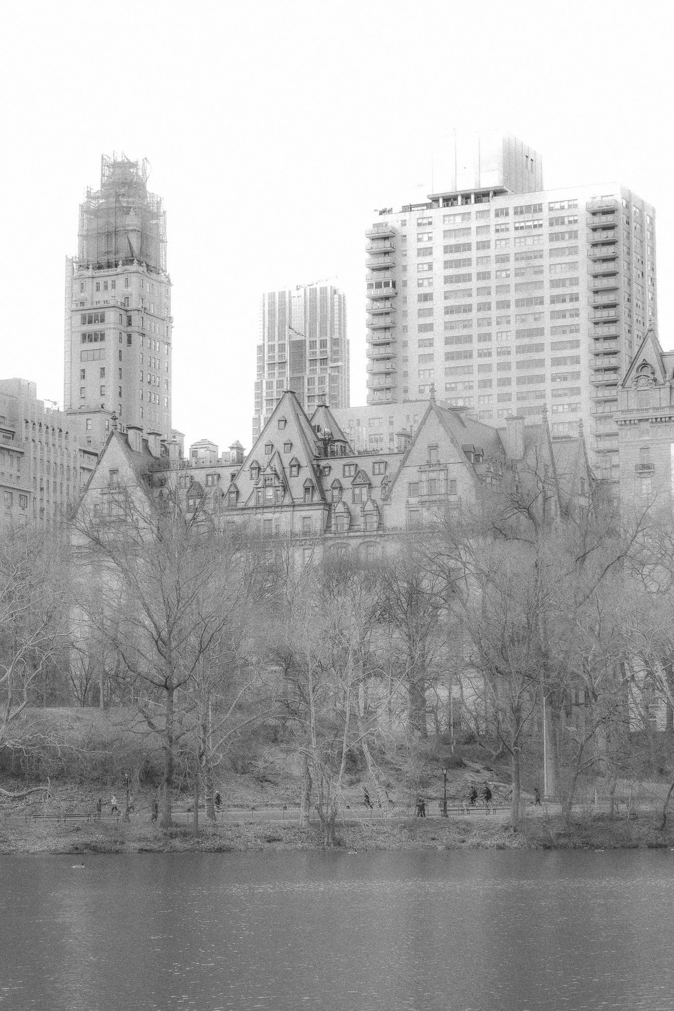 "new amsterdam.co" Lightroom Preset