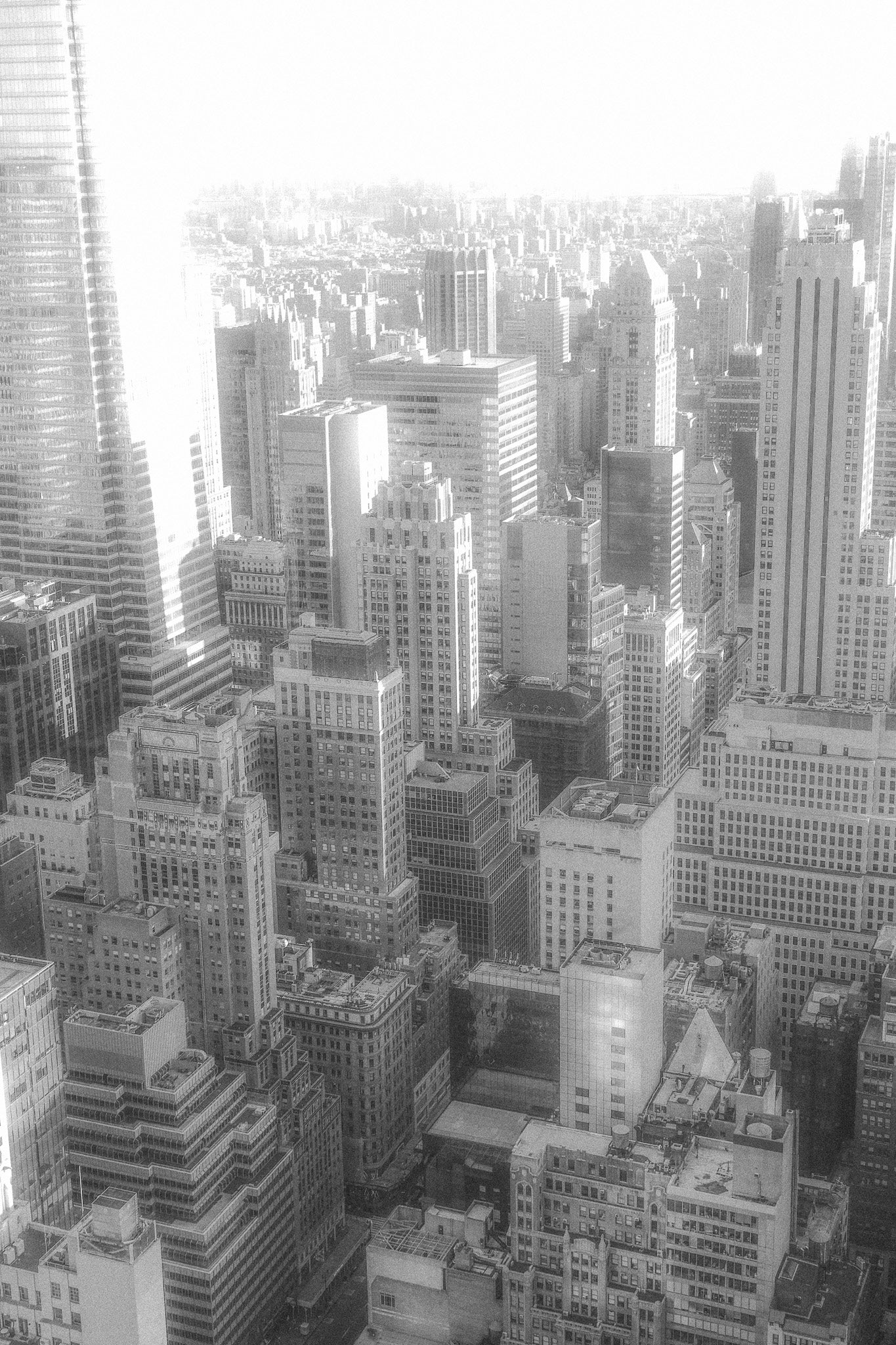 "new amsterdam.co" Lightroom Preset