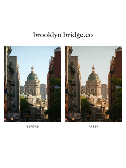 "brooklyn bridge.co" Lightroom Preset