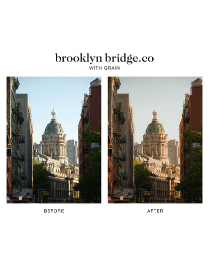 "brooklyn bridge.co" Lightroom Preset