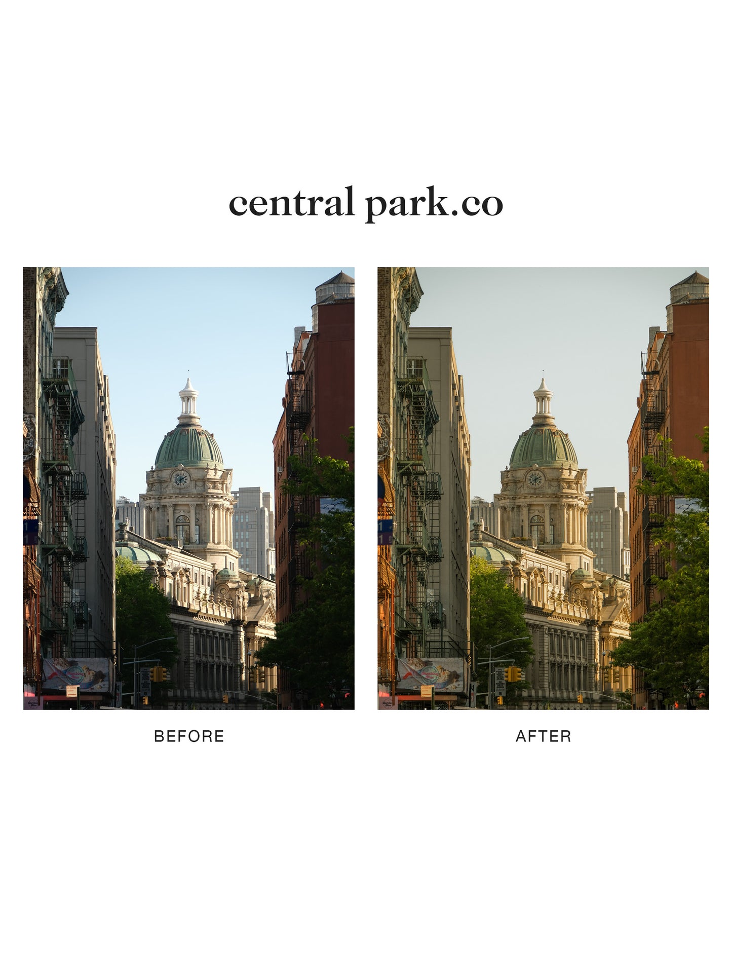 "central park.co" Lightroom Preset