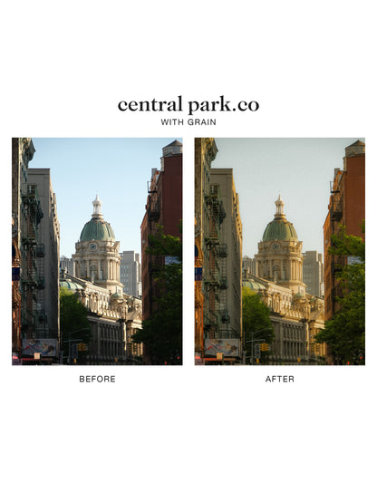 "central park.co" Lightroom Preset