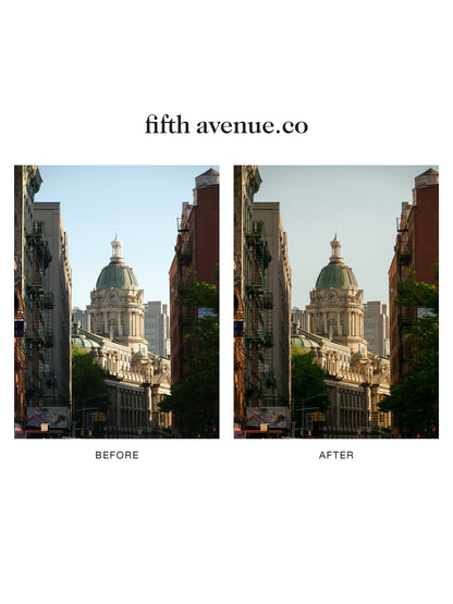 "fifth avenue.co" Lightroom Preset